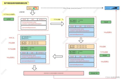 彻底搞清楚什么是交换机与路由器——程序员必备网络基础