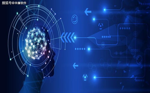 华廉软件干部信息管理系统网络安全审计系统的开发与应用