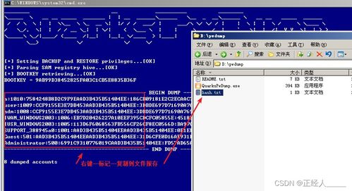 网络安全必备 Kali Linux中扫描器与爆破工具的选用与实践